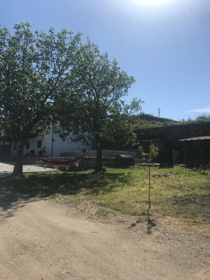 Casa Nova Vila Guimarães Exterior foto